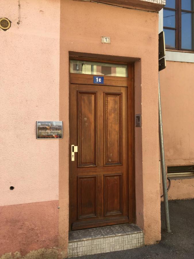 Le Gite 6 - Le Chateau Du Haut-Koenigsbourg Sélestat Eksteriør billede